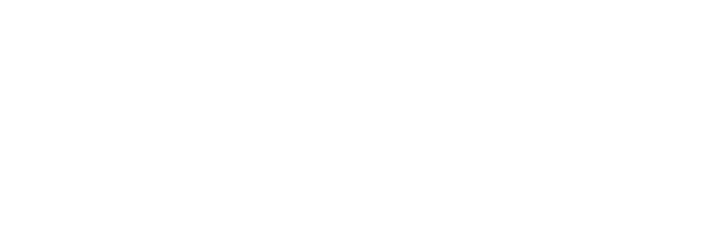 Mad Spirit : L’automobile comme passion, l’environnement comme moteur. Une passion commune pour les sports mécaniques et les initiatives éthiques. Club automobile.