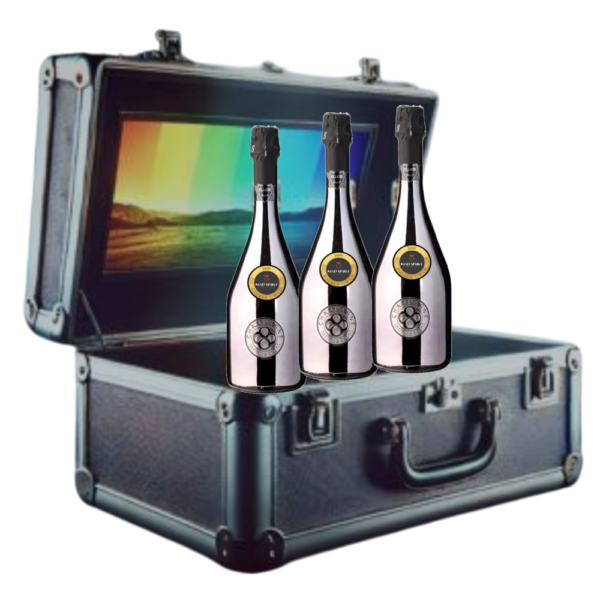 Coffret contenant trois bouteilles de champagne connectées, le coffret est connecté en association avec Bond 500 et contient un portefeuille cryptomonnaie. Champagne en vente dans les motels clubs Mad Spirit.